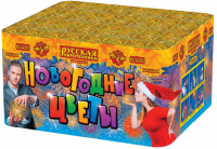 Новогодние цветы Фейерверк купить в Енисейске | enisejsk.salutsklad.ru