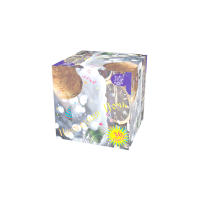 Новогодняя ночь Салют купить в Енисейске | enisejsk.salutsklad.ru