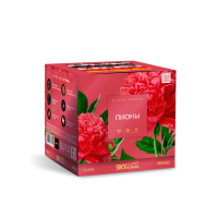 Пионы Салют купить в Енисейске | enisejsk.salutsklad.ru