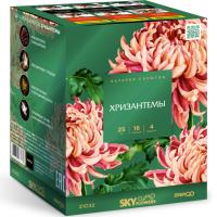 Хризантемы Фейерверк купить в Енисейске | enisejsk.salutsklad.ru