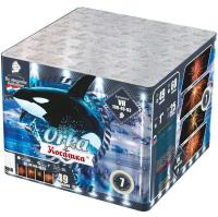 Косатка Фейерверк купить в Енисейске | enisejsk.salutsklad.ru