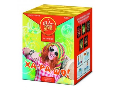 Ха-ра-шо Салют купить в Енисейске | enisejsk.salutsklad.ru