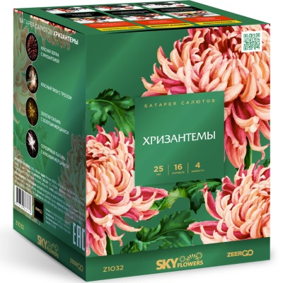 Хризантемы Фейерверк купить в Енисейске | enisejsk.salutsklad.ru
