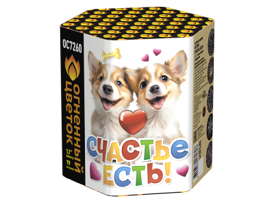 Счастье есть! Салют купить в Енисейске | enisejsk.salutsklad.ru