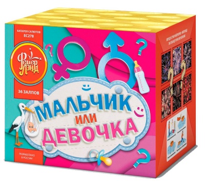 Мальчик или девочка М Фейерверк купить в Енисейске | enisejsk.salutsklad.ru